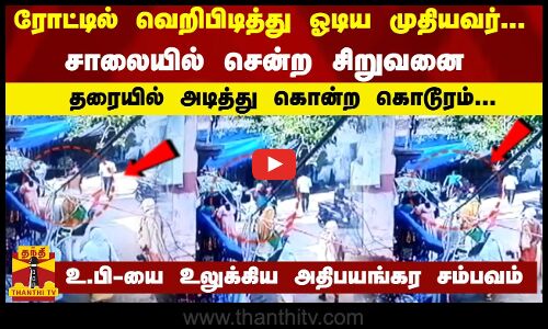 ரோட்டில் வெறிபிடித்து ஓடிய முதியவர்...சாலையில் சென்ற சிறுவனை தரையில் அடித்து கொன்ற கொடூரம்..