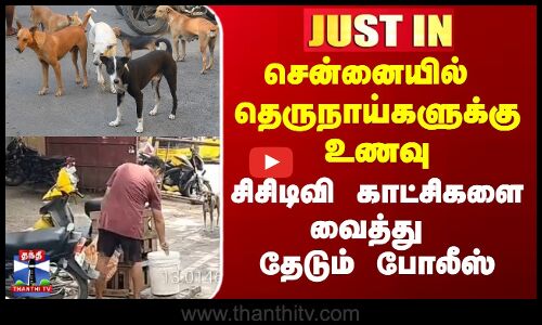 Dog | Street Food | Street Dogs | தெரு நாய்களுக்கு உணவு வைத்தவர் மீது புகார்