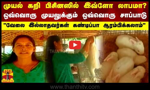 முயல் கறி பிசினஸில் இவ்ளோ லாபமா?.. ஒவ்வொரு முயலுக்கும் ஒவ்வொரு சாப்பாடு.. வேலை இல்லாதவர்கள் கண்டிப்பா ஆரம்பிக்கலாம்