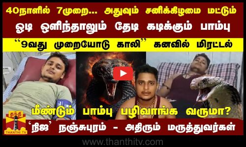 40நாளில் 7முறை... அதுவும் சனிக்கிழமை மட்டும்-தேடி கடிக்கும் பாம்பு `நிஜ நஞ்சுபுரம் - ஷாக் சம்பவம்