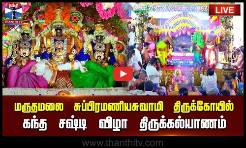 🔴LIVE : மருதமலை சுப்பிரமணியசுவாமி திருக்கோயில் கந்த சஷ்டி விழா திருக்கல்யாணம் | நேரலை காட்சிகள்