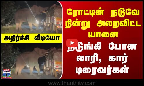 Nilgiris | Elephant | ரோட்டின் நடுவே நின்று அலறவிட்ட யானை - நடுங்கி போன லாரி, கார் டிரைவர்கள்