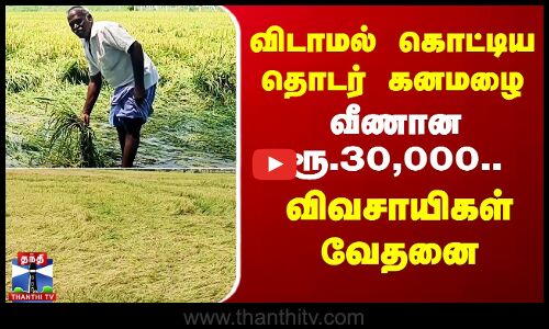 விடாமல் கொட்டிய தொடர் கனமழை - வீணான ரூ.30,000.. விவசாயிகள் வேதனை