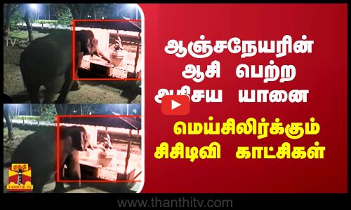 ஆஞ்சநேயரின் ஆசி பெற்ற அதிசய யானை மெய்சிலிர்க்கும் சிசிடிவி காட்சிகள்
