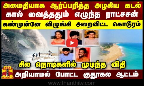 அமைதியாய் ஆர்ப்பரித்த கடல்...கால் வைத்ததும் எழுந்த ராட்சசன் - கண்முன்னே விழுங்கி அலறவிட்ட கொடூரம்