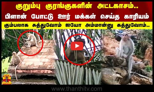 ஏ கும்பலாக சுத்துவோம்.. குறும்பு குரங்குகளின் அட்டகாசம். பிளான் போட்டு ஊர் மக்கள் செய்த காரியம்.