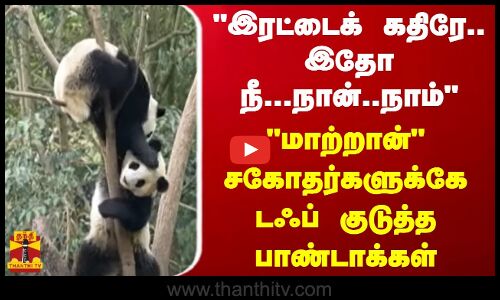 இரட்டைக் கதிரே...இதோ நீ...நான்...நாம்..  மாற்றான் சகோதர்களுக்கே டஃப் குடுத்த பாண்டாக்கள்