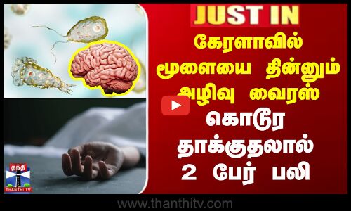 கேரளாவில் மூளையை தின்னும் அழிவு வைரஸ் - கொடூர தாக்குதலால் 2 பேர் பலி