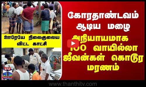 Virudhunagar Rains | Goat| கோரதாண்டவம் ஆடிய மழை - அநியாயமாக 100 வாயில்லா ஜீவன்கள் கொடூர மரணம்