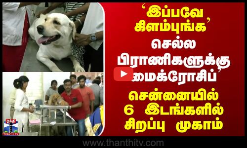 Pet Microchip Implant | `இப்பவே கிளம்புங்க - சென்னையில் 6 இடங்களில் சிறப்பு முகாம்