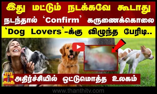 இது மட்டும் நடக்கவே கூடாது..நடந்தால் Confirm கருணைக்கொலை...Dog Lovers-க்கு விழுந்த பேரிடி..