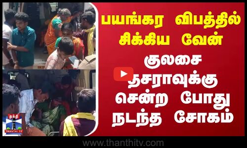 Tenkasi Accident | பயங்கர விபத்தில் சிக்கிய வேன் | குலசை தசராவுக்கு சென்ற போது நடந்த சோகம்
