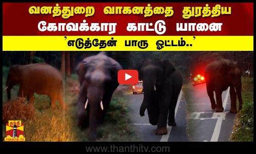 வனத்துறை வாகனத்தை துரத்திய கோவக்கார காட்டு யானை   எடுத்தேன் பாரு ஓட்டம்..