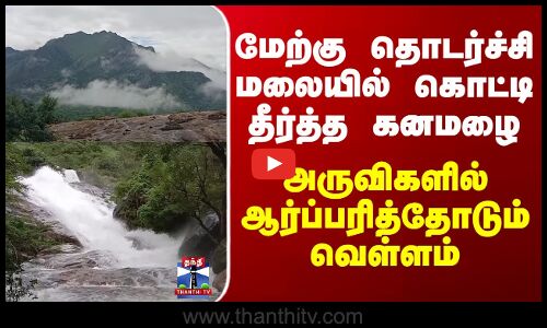 Flood | Thenkasi | மேற்கு தொடர்ச்சி மலையில் கொட்டி தீர்த்த கனமழை;அருவிகளில் ஆர்ப்பரித்தோடும் வெள்ளம்