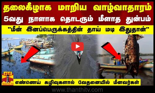 தலைகீழாக மாறிய வாழ்வாதாரம் - 5வது நாளாக தொடரும் மீளாத துன்பம்  இனப்பெருக்கத்தின் தாய் மடி இதுதான் 