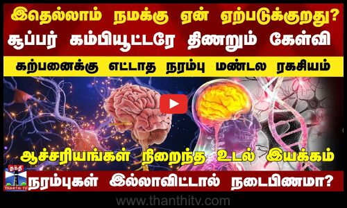 கற்பனைக்கு எட்டாத நரம்பு மண்டல ரகசியம் - சூப்பர் கம்பியூட்டரே திணறும் கேள்வி
