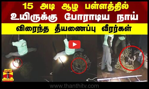 15 அடி ஆழ பள்ளத்தில் உயிருக்கு போராடிய நாய்விரைந்த தீயணைப்பு வீரர்கள்