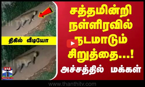 சத்தமின்றி சாலையில் நடமாடும் சிறுத்தை... அச்சத்தில் கோத்தகிரி மக்கள்..  திகில் வீடியோ