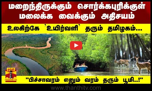 உலகிற்கே உயிர்வளி தரும் தமிழகம்... பிச்சாவரம் எனும் வரம் தரும் பூமி..!