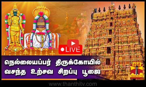 🔴LIVE : நெல்லையப்பர் திருக்கோயில் வசந்த உற்சவ சிறப்பு பூஜை | நேரலை காட்சிகள்
