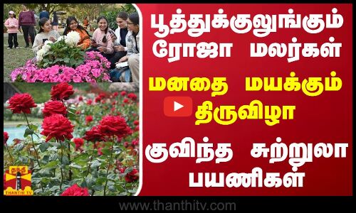பூத்துக்குலுங்கும் ரோஜா மலர்கள்... மனதை மயக்கும் திருவிழா - குவிந்த சுற்றுலா பயணிகள்