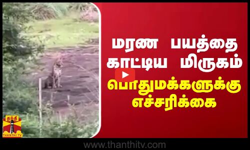 மரண பயத்தை காட்டிய மிருகம்.. பொதுமக்களுக்கு எச்சரிக்கை