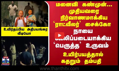 முதியவரை நிர்வாணமாக்கிய `ராட்வீலர் சைக்கோ - நாயை கூலிப்படையாக்கிய பெருத்த உருவம்