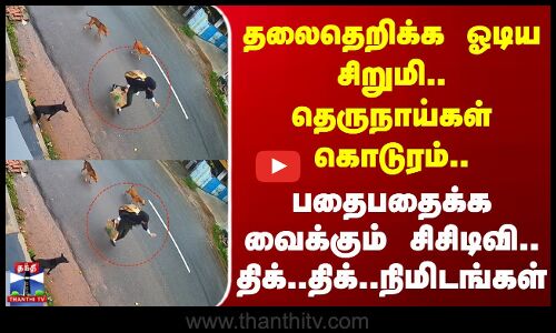 Kanniyakumari | Street Dog | தலைதெறிக்க ஓடிய சிறுமி.. தெருநாய்கள் கொடுரம்.. திக்..திக்..நிமிடங்கள்