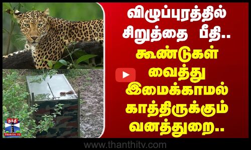 Leopard | விழுப்புரத்தில் சிறுத்தை பீதி.. கூண்டுகள் வைத்து இமைக்காமல் காத்திருக்கும் வனத்துறை..