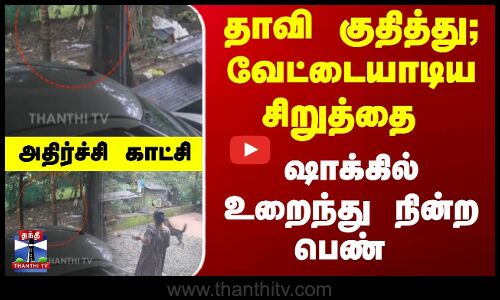 தாவி குதித்து; வேட்டையாடிய சிறுத்தை - ஷாக்கில் உறைந்து நின்ற பெண் - அதிர்ச்சி காட்சி