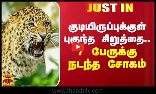 குடியிருப்புக்குள் புகுந்த சிறுத்தை..  7 பேருக்கு நடந்த சோகம்