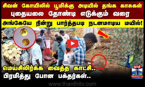 பானையில் கிடைத்த 103 தங்க காசுகள்.. தங்கப்புதையலை பார்த்து நடனமாடிய மயில்