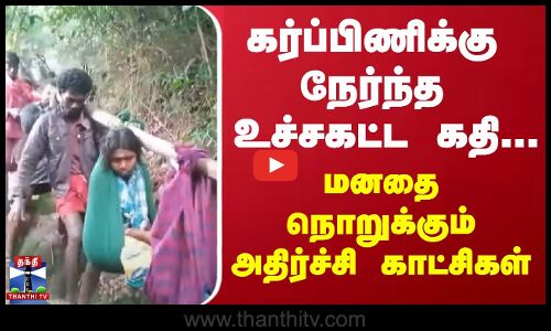 கர்ப்பிணிக்கு நேர்ந்த உச்சகட்ட கதி... மனதை நொறுக்கும் அதிர்ச்சி காட்சிகள்