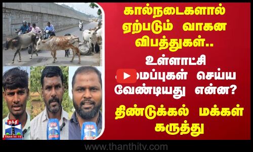 streetinterview |கால்நடைகளால் ஏற்படும் வாகன விபத்துகள்.., உள்ளாட்சி அமைப்புகள் செய்ய வேண்டியது என்ன?