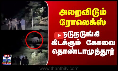 Thondamuthur | Rolex | அலறவிடும் ரோலெக்ஸ்.. நடுநடுங்கி கிடக்கும் கோவை தொண்டாமுத்தூர்