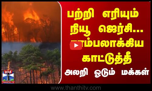 பற்றி எரியும் நியூ ஜெர்சி ...சாம்பலாக்கிய காட்டுத்தீ