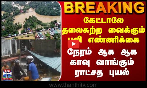 கேட்டாலே தலைசுற்ற வைக்கும் பலி எண்ணிக்கை - நேரம் ஆக ஆககாவு வாங்கும் ராட்சத புயல்