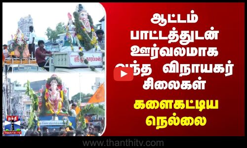 ஆட்டம் பாட்டத்துடன் ஊர்வலமாக வந்த விநாயகர் சிலைகள் | களைகட்டிய நெல்லை