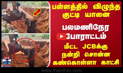 பள்ளத்தில் விழுந்த குட்டி யானை; மீட்ட JCBக்கு நன்றி சொன்ன கண்கொள்ளா காட்சி