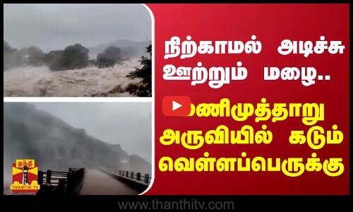 நிற்காமல் அடிச்சு ஊற்றும் மழை.. - மணிமுத்தாறு அருவியில் கடும் வெள்ளப்பெருக்கு
