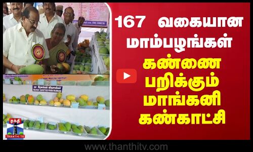 Exhibition | Krishnagiri  | 167 வகையான மாம்பழங்கள்.. கண்ணை பறிக்கும் மாங்கனி கண்காட்சி