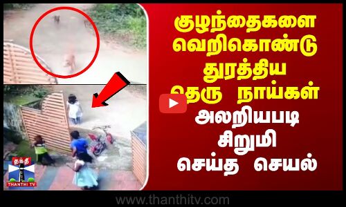 குழந்தைகளை வெறிகொண்டு துரத்திய தெரு நாய்கள் - அலறியபடி சிறுமி செய்த செயல்