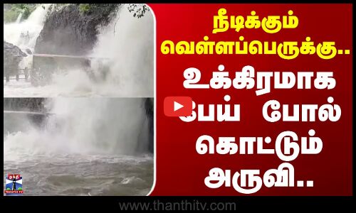Manimutharu Falls | Flood | Rain | நீடிக்கும் வெள்ளப்பெருக்கு.. உக்கிரமாக பேய் போல் கொட்டும் அருவி..
