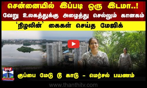 சென்னையில் இப்படி ஒரு இடமா..! வேறு உலகத்துக்கு அழைத்து செல்லும் கானகம்