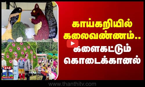 காய்கறியில் கலைவண்ணம்..  களைகட்டும் கொடைக்கானல்