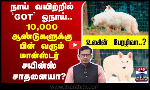 🔴LIVE : GOT | Game of Thrones | Yali | நாய் வயிற்றில் `GOT ஓநாய்.. உலகின் பேரழிவா..?