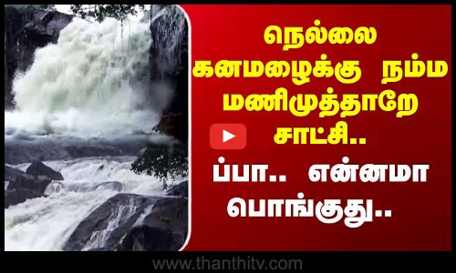 Nellai | நெல்லை கனமழைக்கு நம்ம மணிமுத்தாறே சாட்சி.. ப்பா.. என்னமா பொங்குது..