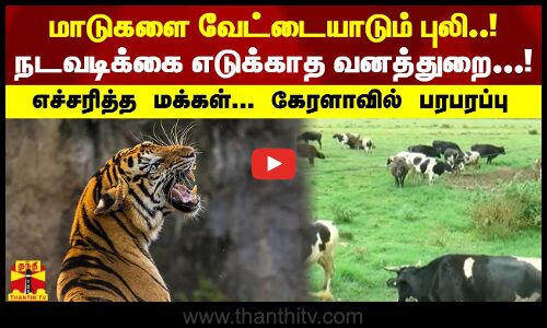 மாடுகளை வேட்டையாடும் புலி..! நடவடிக்கை எடுக்காத வனத்துறை...! எச்சரித்த மக்கள்... கேரளாவில் பரபரப்பு