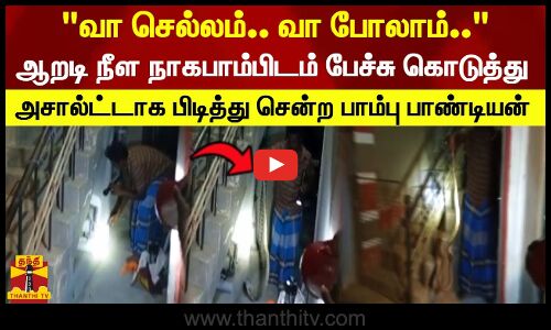 வா செல்லம் வா போலாம் ஆறடி நீள பாம்பிடம் பேச்சு கொடுத்து அசால்ட்டாக பிடித்து சென்ற பாம்பு பாண்டியன்
