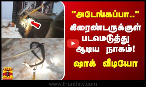 அடேங்கப்பா.. கிரைண்டருக்குள் படமெடுத்து ஆடிய நாகம்! - ஷாக் வீடியோ